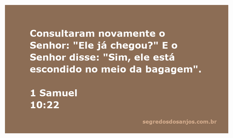 Imagem representando a consulta ao Senhor sobre a chegada de Saul, escondido entre a bagagem.