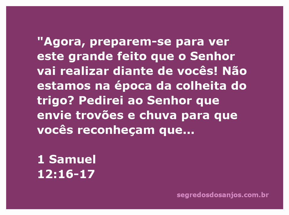 Imagem representativa do versículo 1 Samuel 12:16-17, mostrando um campo de trigo e nuvens escuras que simbolizam a intervenção divina.