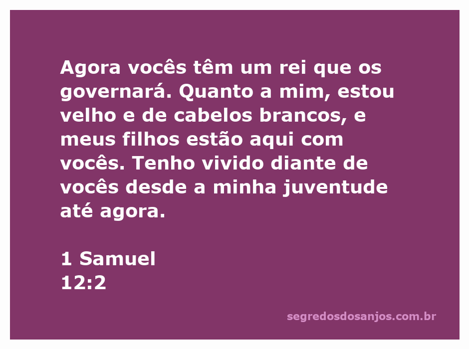 Imagem de um homem idoso com cabelos brancos, simbolizando a passagem de 1 Samuel 12:2, refletindo sobre sua liderança e experiência.