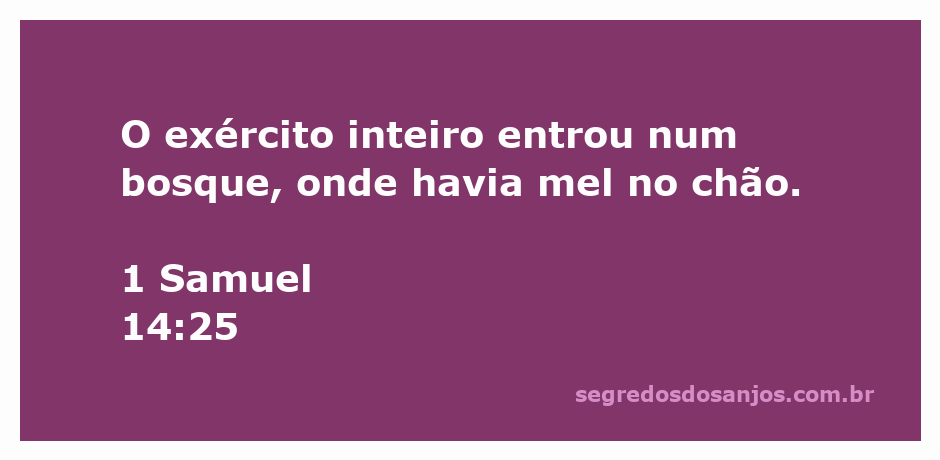 Soldados do exército encontrando mel no chão durante uma batalha, representando 1 Samuel 14:25.