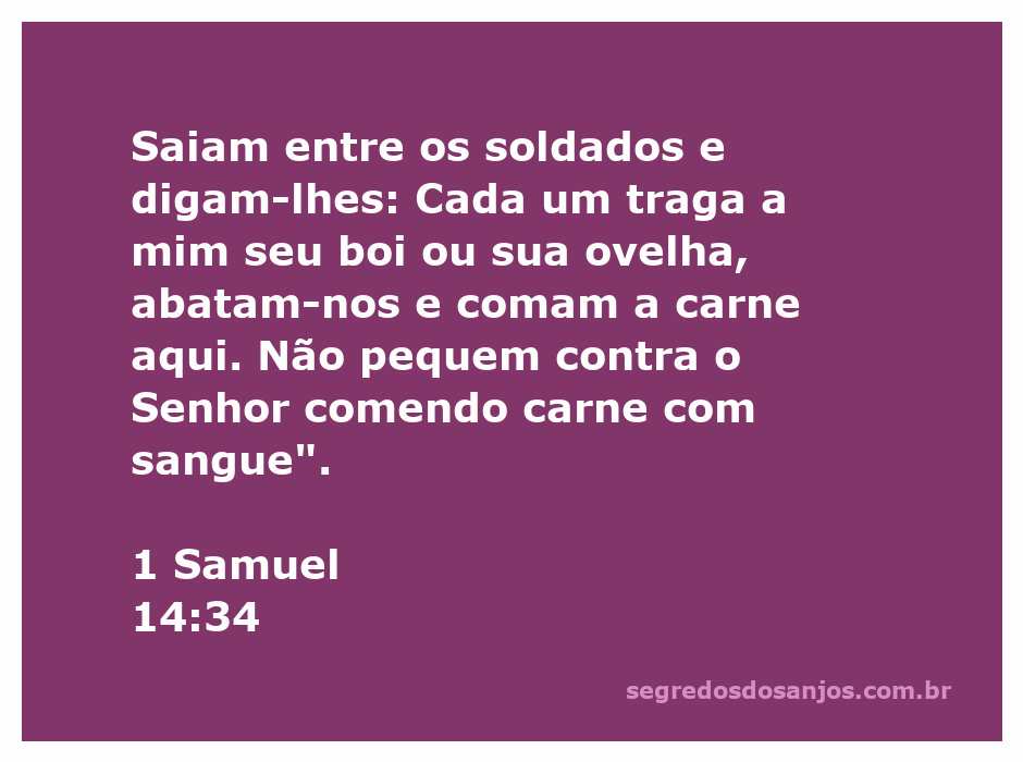 Soldados de Israel trazendo bois e ovelhas para serem abatidos, conforme a instrução de Saul em 1 Samuel 14:34.