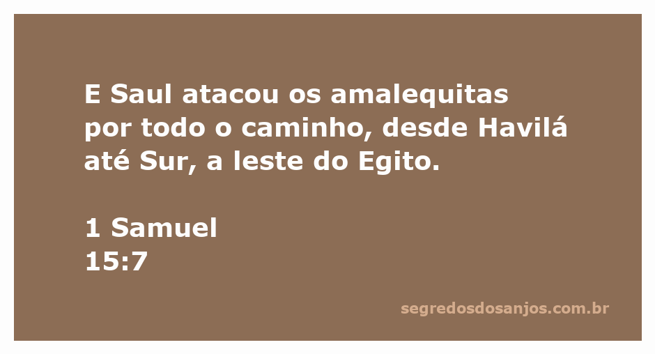 Representação da batalha de Saul contra os amalequitas, destacando a extensão da sua jornada desde Havilá até Sur.