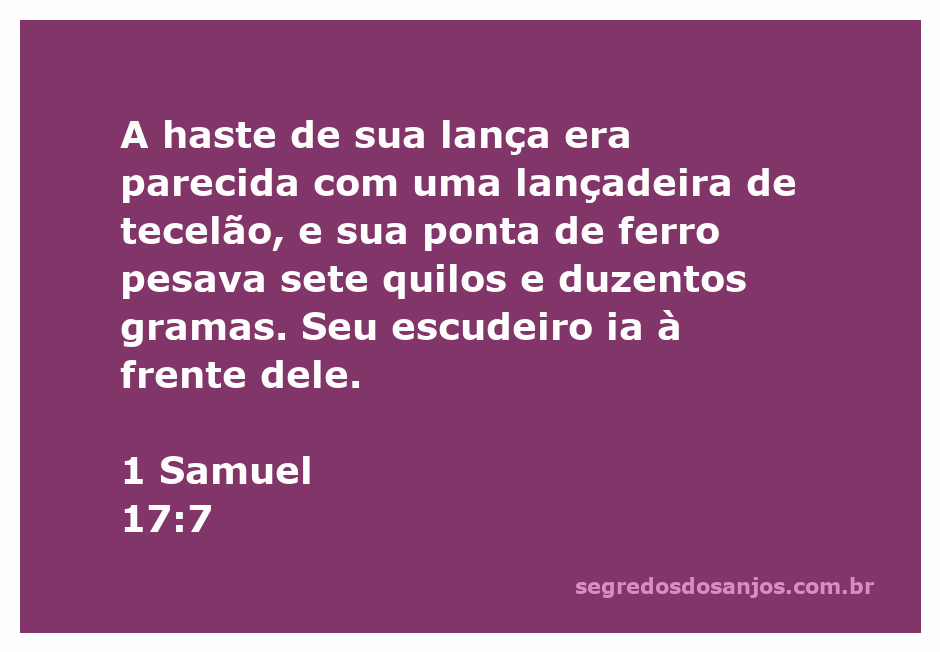 Ilustração de um guerreiro com uma lança poderosa, destacando o peso da ponta de ferro e seu escudeiro à frente.