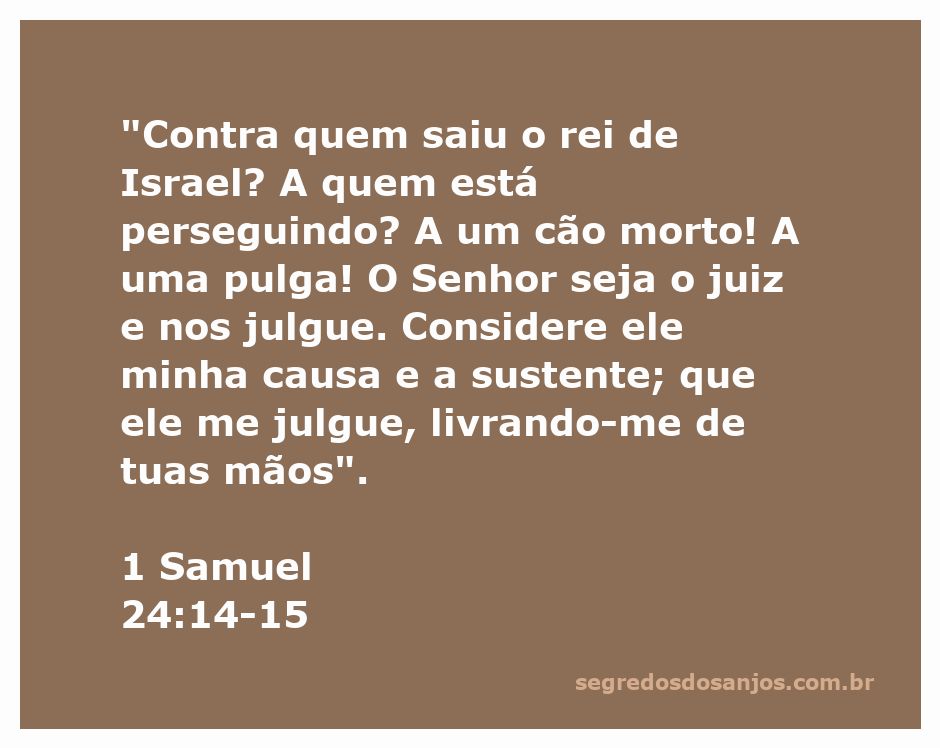 Ilustração de Davi confrontando Saul, simbolizando a luta entre o rei de Israel e seu perseguidor.