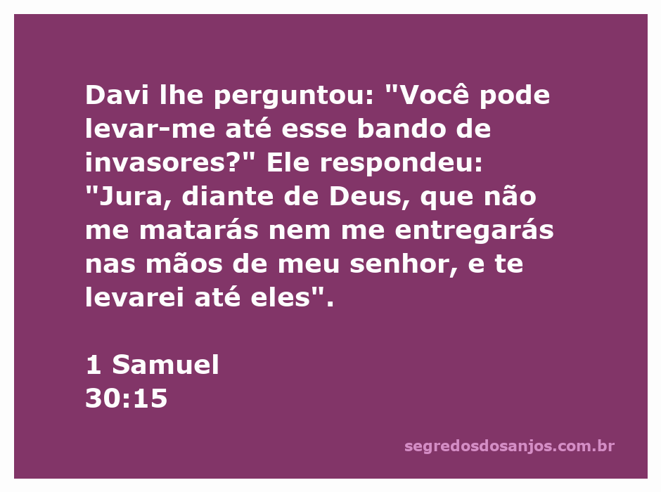 Davi em busca de um guia para encontrar um bando de invasores, com uma expressão de determinação.