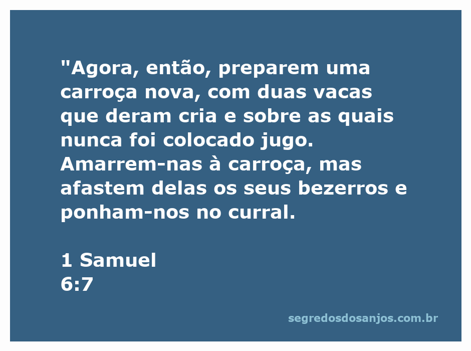 Carroça nova com duas vacas sem jugo, simbolizando a passagem de 1 Samuel 6:7.