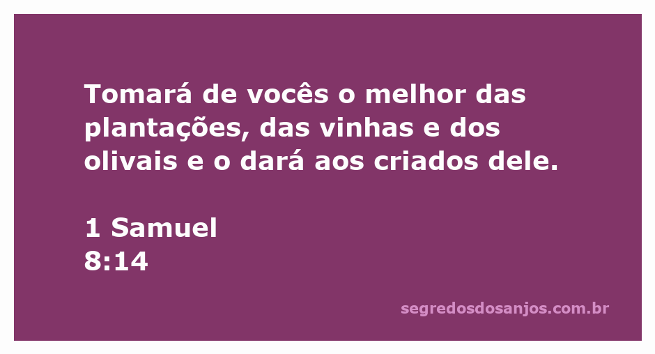 Imagem representativa da passagem bíblica 1 Samuel 8:14, mostrando colheitas e vinhedos