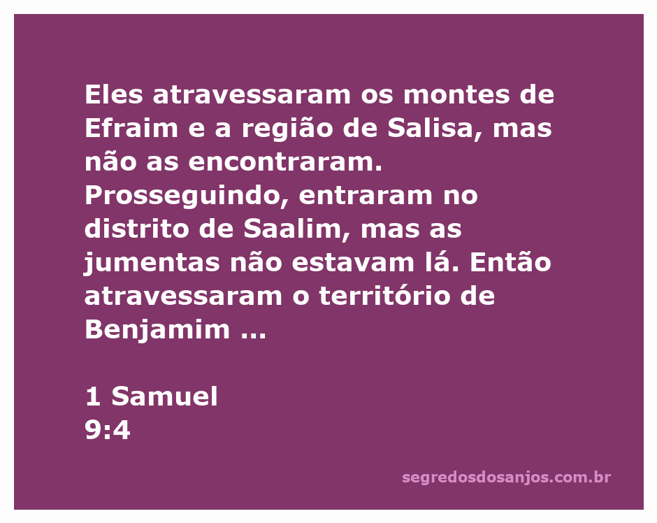 Imagem representando a busca de Saul pelas jumentas na região de Efraim e Benjamim.