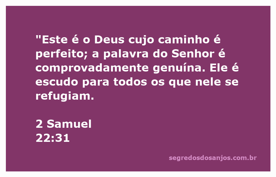 Imagem que ilustra a passagem de 2 Samuel 22:31, destacando a perfeição do caminho de Deus e a segurança que Ele oferece.