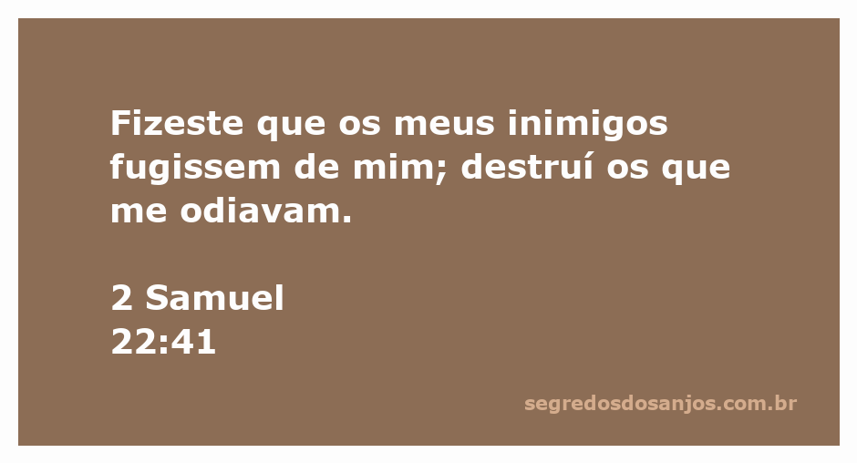 Imagem representando a vitória sobre os inimigos, inspirada em 2 Samuel 22:41.