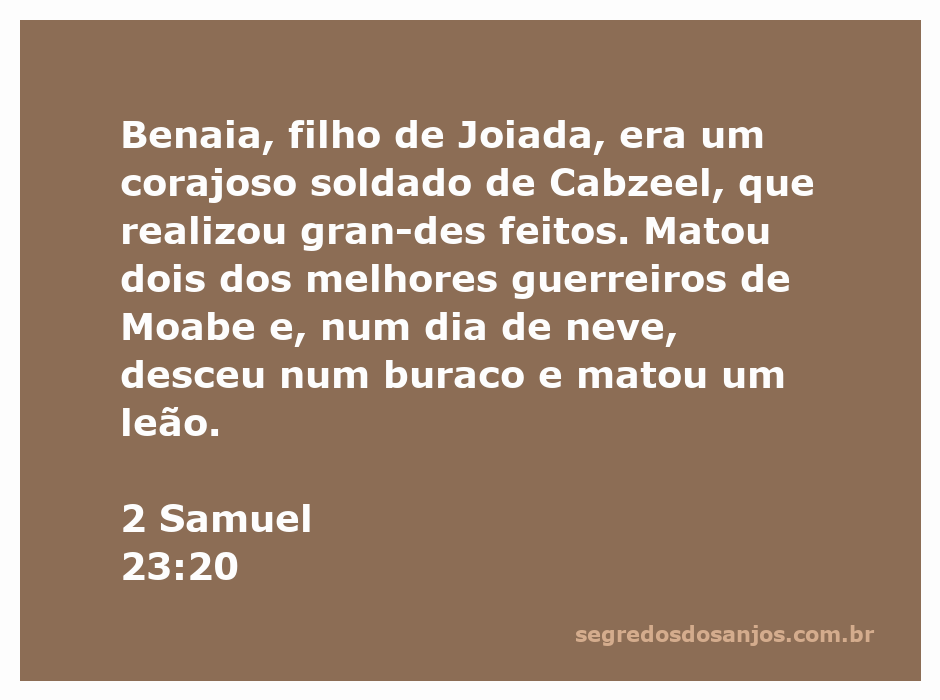 Benaia, filho de Joiada, lutando contra um leão em um ambiente de neve.