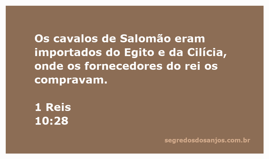 Cavalos importados do Egito e Cilícia durante o reinado de Salomão.