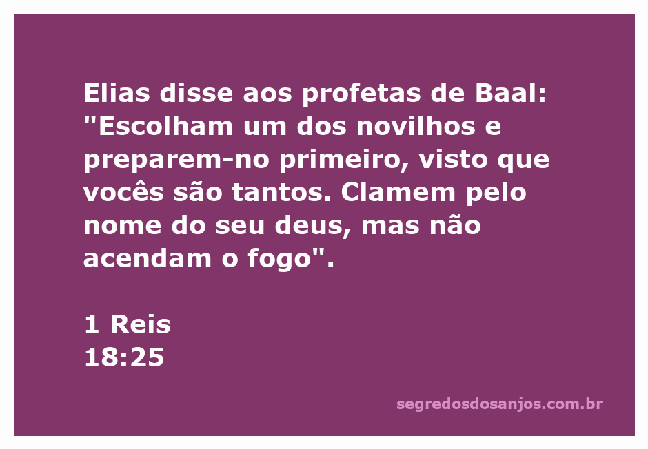 Elias desafiando os profetas de Baal a clamar pelo seu deus, enquanto prepara um novilho para o sacrifício.
