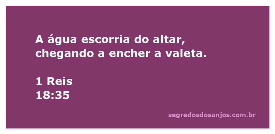 Imagem do altar com água escorrendo, representando a passagem de 1 Reis 18:35.