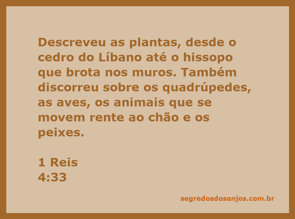 Ilustração de Salomão descrevendo plantas e animais, incluindo cedros, hissopos, quadrúpedes, aves, e peixes.