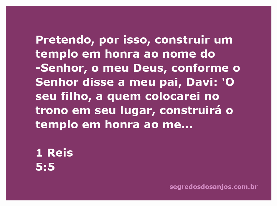 Rei Salomão expressando sua intenção de construir um templo para o Senhor, conforme a promessa feita a Davi.