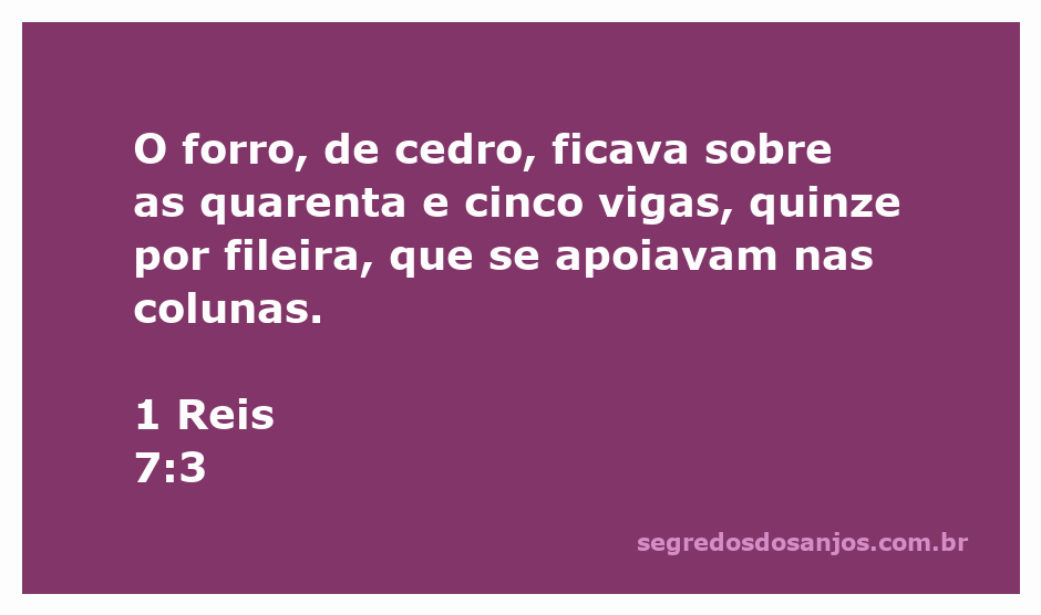 Forro de cedro sobre vigas em uma construção antiga, representando a arquitetura descrita em 1 Reis 7:3.