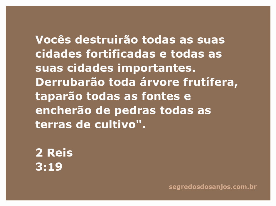 Imagem representando a destruição de cidades fortificadas e terras de cultivo, simbolizando o versículo de 2 Reis 3:19.