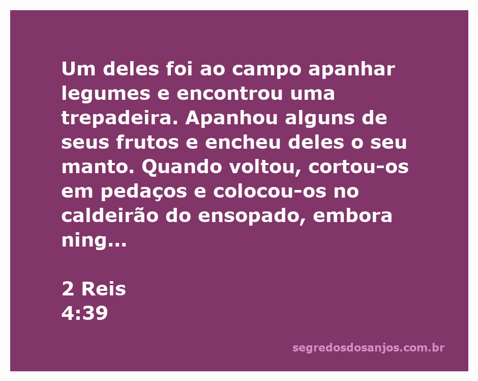 Um homem colhendo legumes em um campo, com uma trepadeira ao fundo
