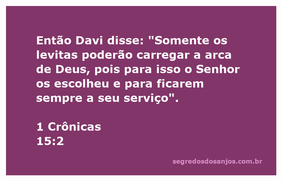 David instructs the Levites on carrying the Ark of God, emphasizing their divine selection for this sacred task.