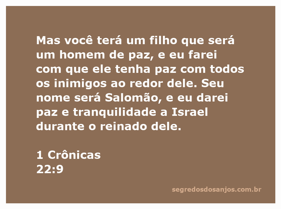 Imagem representativa do versículo 1 Crônicas 22:9, destacando a paz prometida a Salomão.