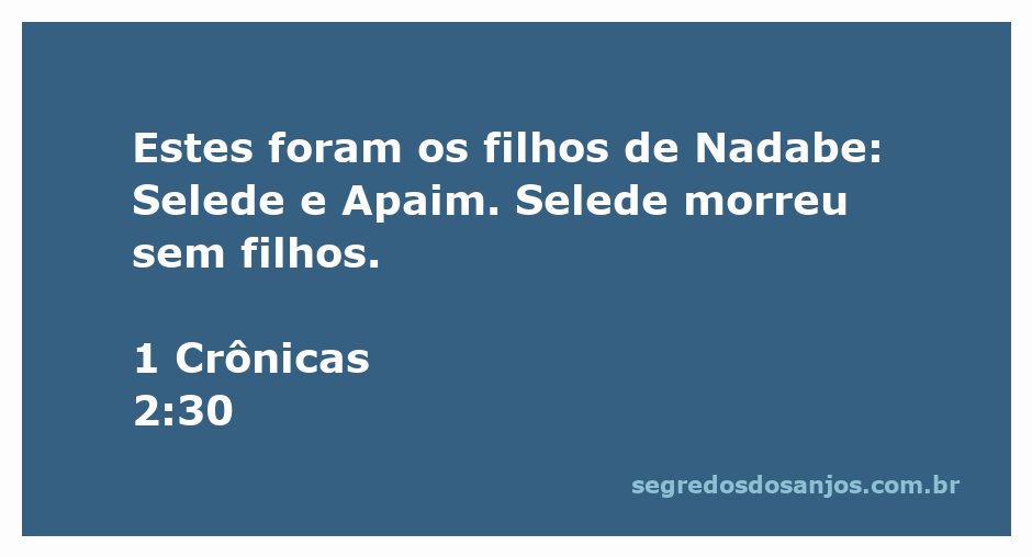 Representação dos filhos de Nadabe, Selede e Apaim, com a menção de Selede que morreu sem filhos.