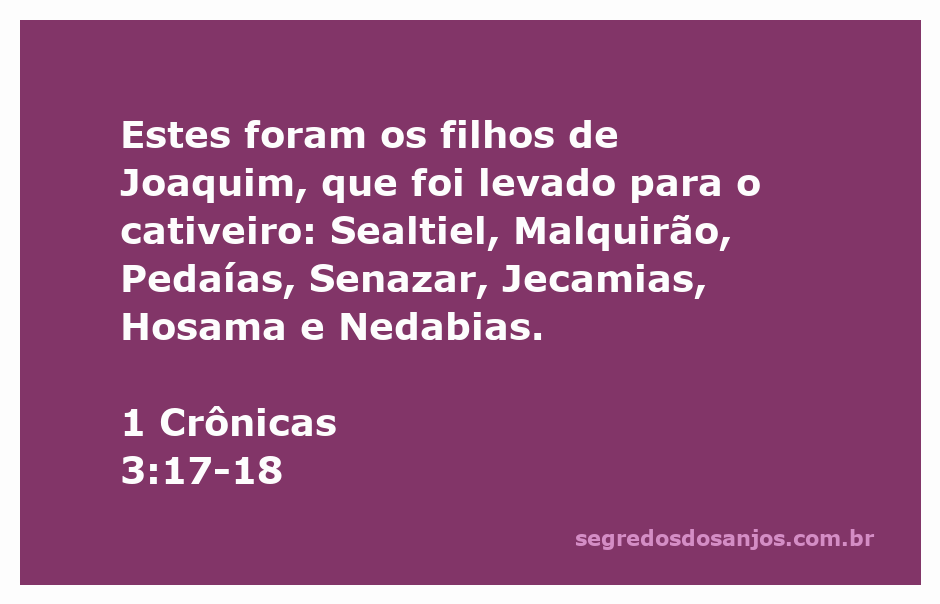 Genealogia dos filhos de Joaquim mencionados em 1 Crônicas 3:17-18