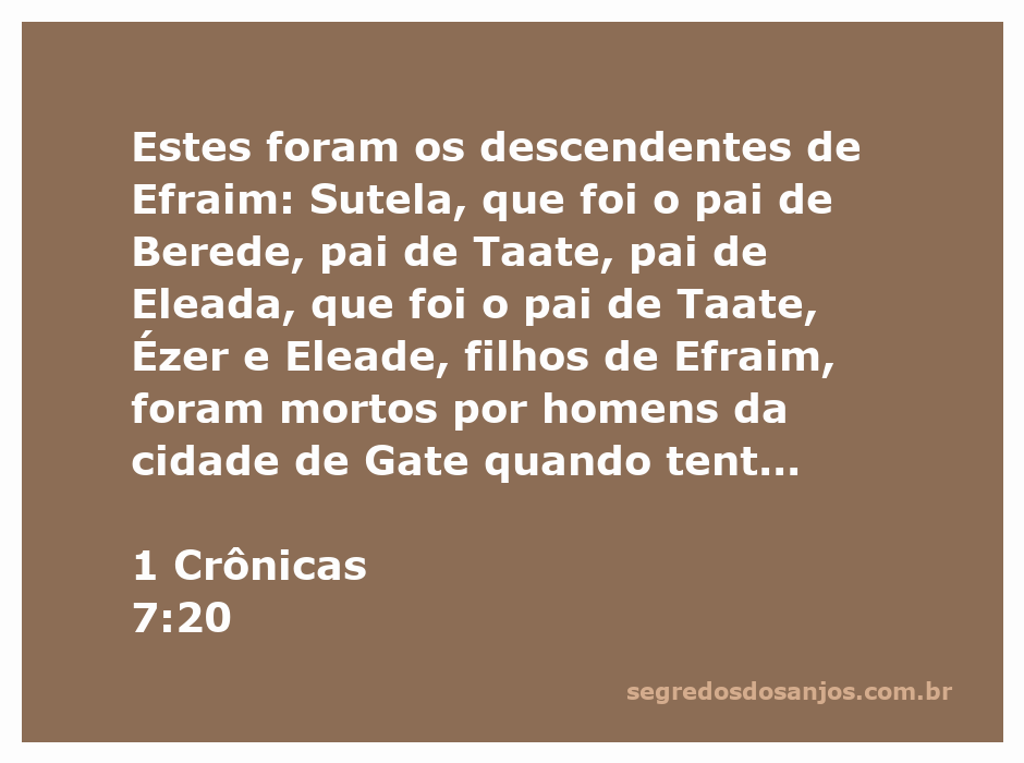 Genealogia dos descendentes de Efraim conforme descrito em 1 Crônicas 7:20