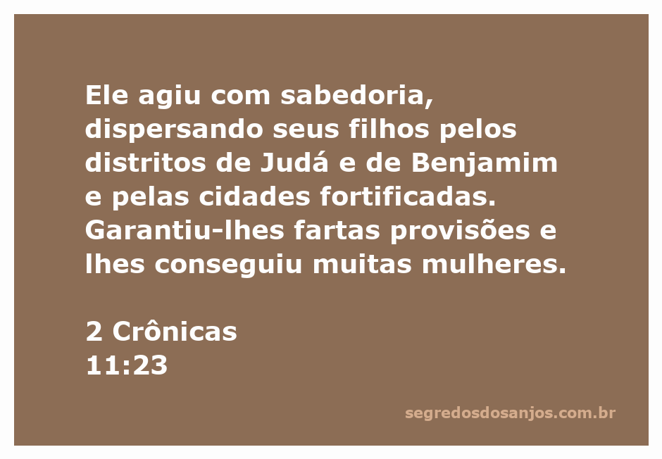 Ilustração de 2 Crônicas 11:23, destacando a sabedoria na distribuição de recursos e famílias em Judá e Benjamim.