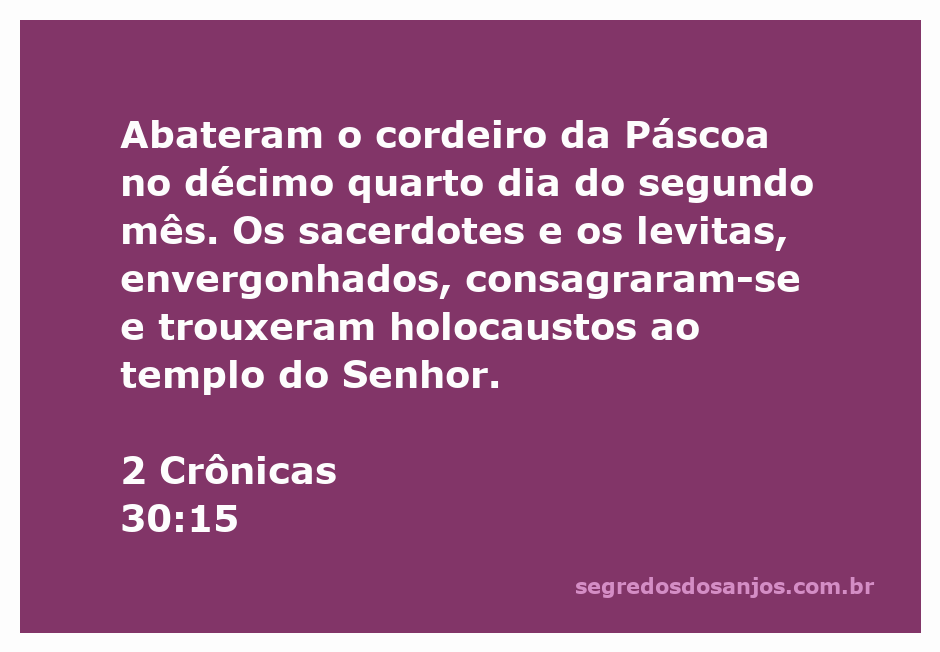 Sacerdotes e levitas preparando o cordeiro da Páscoa no templo do Senhor