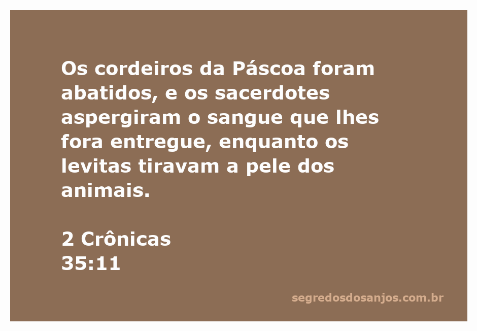 Sacerdotes aspergindo o sangue dos cordeiros durante a celebração da Páscoa em 2 Crônicas 35:11.