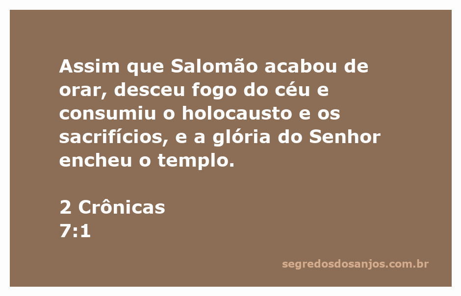 Fogo descendo do céu sobre o altar do templo após a oração de Salomão, simbolizando a presença de Deus.