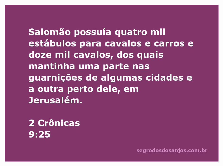 Imagem representando a riqueza e a grandeza do reino de Salomão, com estábulos e cavalos.