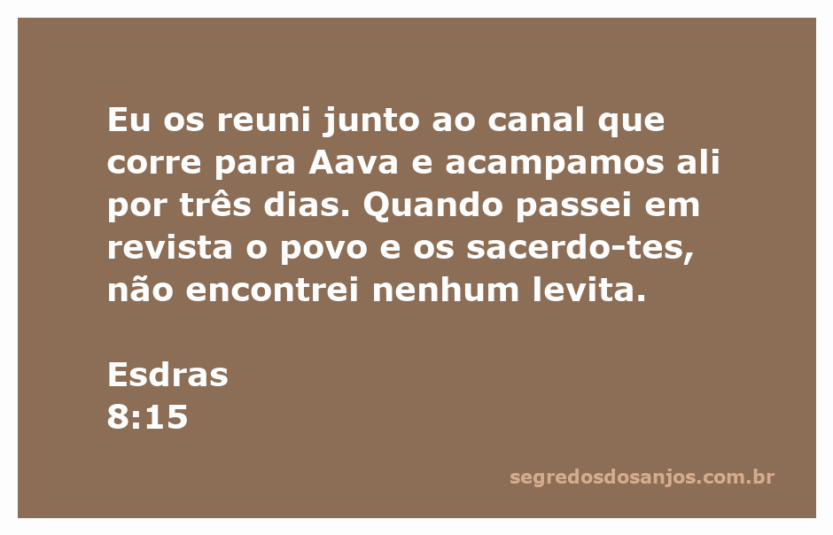 Esdras reunindo o povo junto ao canal que corre para Aava, representando a busca por levitas.