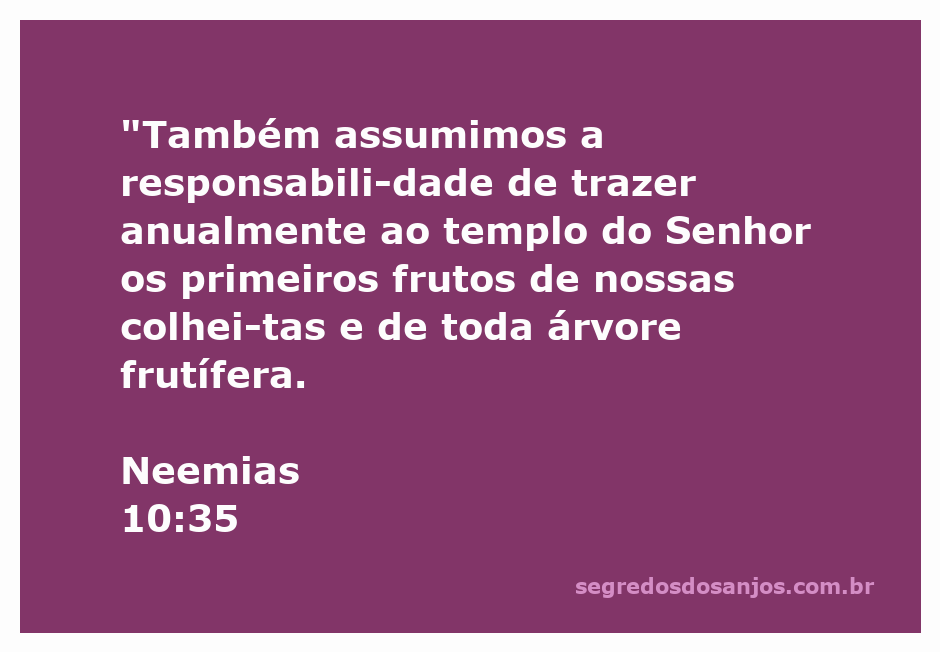 Imagem representativa da oferta dos primeiros frutos ao templo, simbolizando a responsabilidade espiritual.