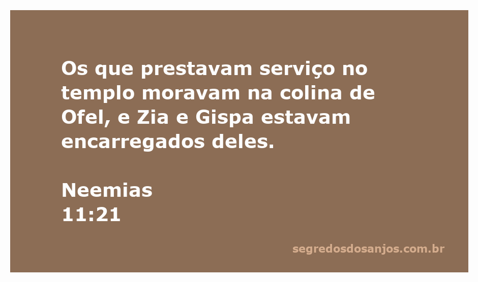 Ilustração da colina de Ofel com referências ao serviço no templo, destacando Zia e Gispa.