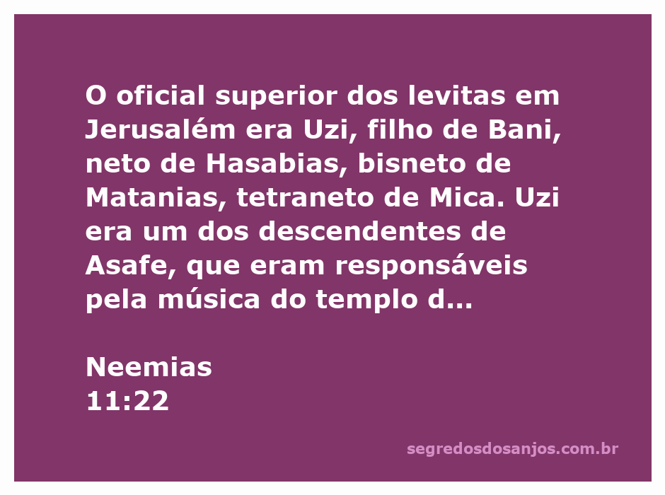 Uzi, filho de Bani, oficial dos levitas em Jerusalém, responsável pela música do templo de Deus.
