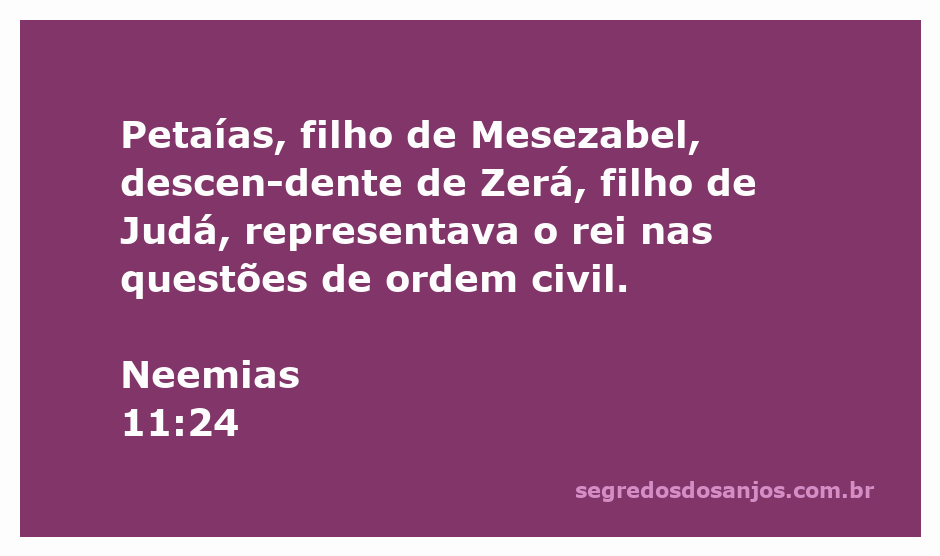 Petaías, filho de Mesezabel, representando o rei nas questões civis conforme Neemias 11:24.