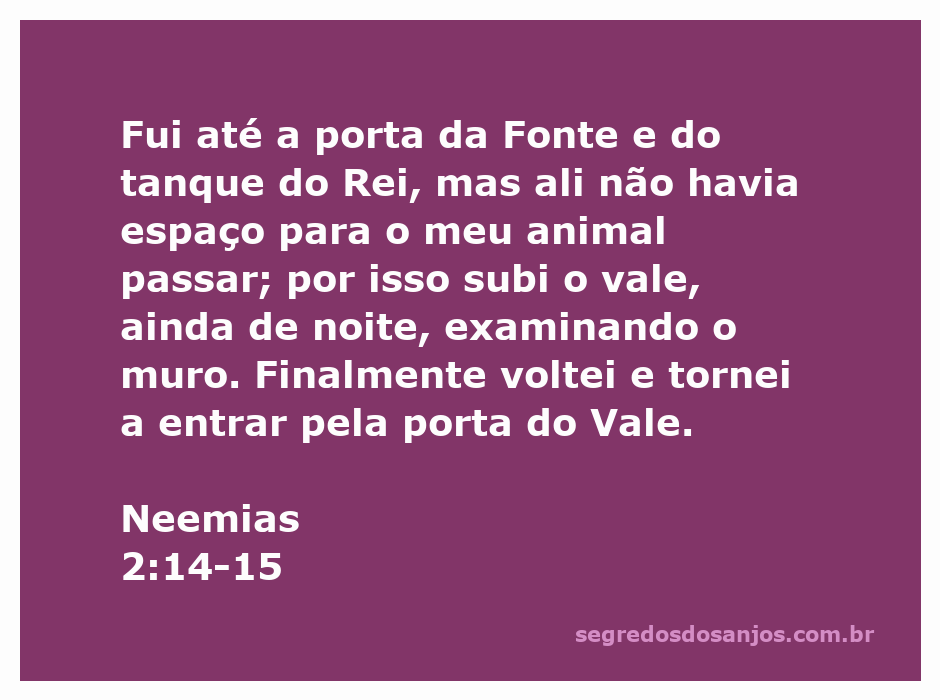 Neemias inspecionando as muralhas de Jerusalém durante a noite.