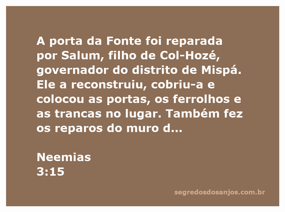 Reparação da porta da Fonte e do muro do tanque de Siloé por Salum, filho de Col-Hozé, em Neemias 3:15.