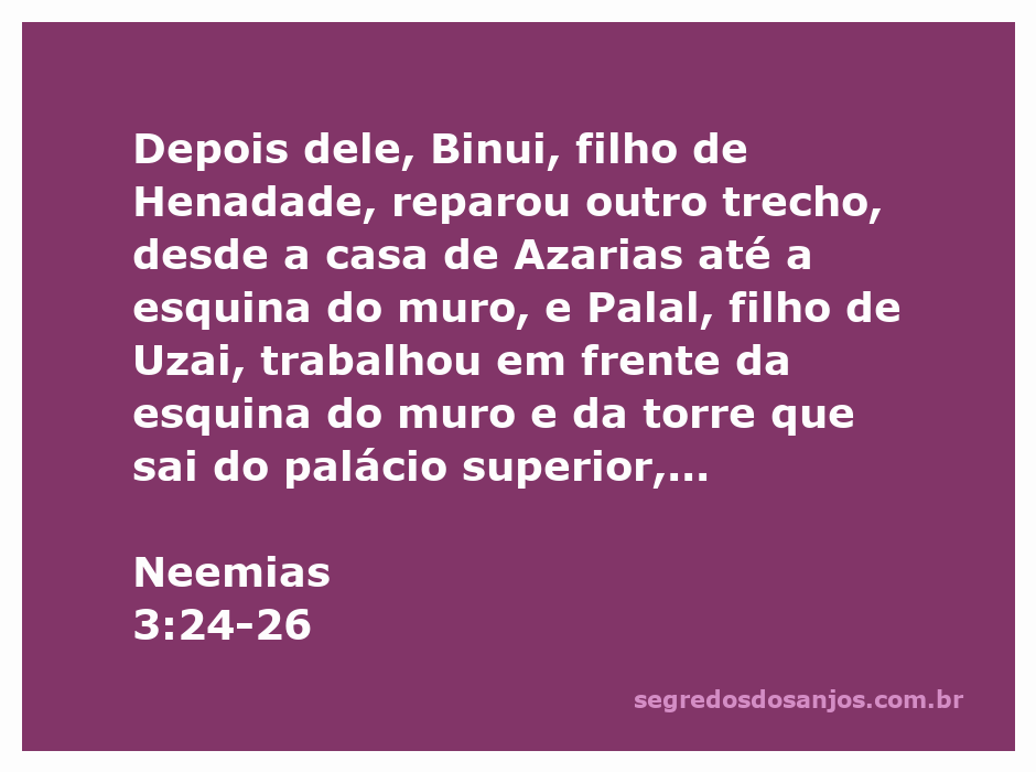 Reparo do muro em Jerusalém com Binui e Palal trabalhando em equipe.