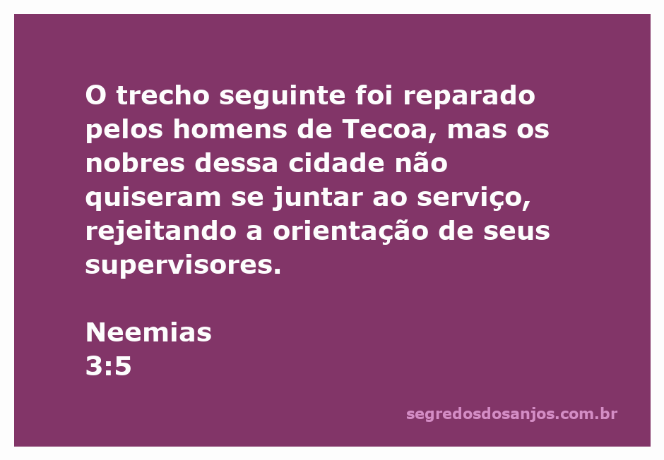 Homens de Tecoa trabalhando na reconstrução das muralhas de Jerusalém, enquanto nobres da cidade se recusam a participar.