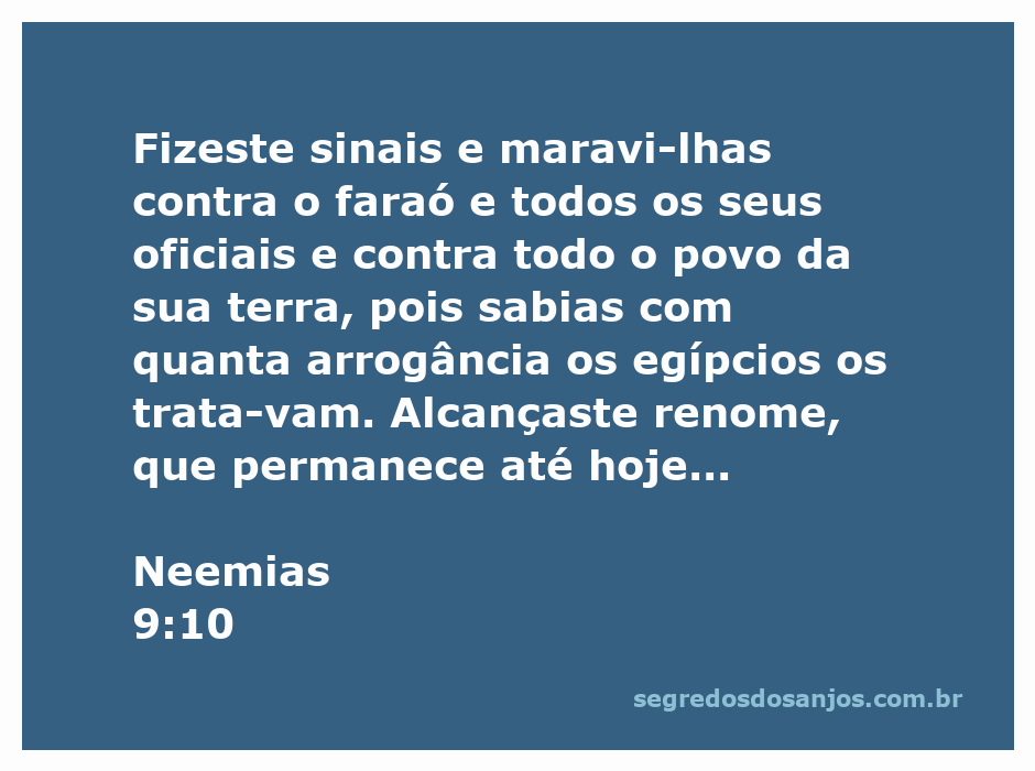 Imagem representando sinais e maravilhas realizadas por Deus contra o faraó e o povo egípcio.