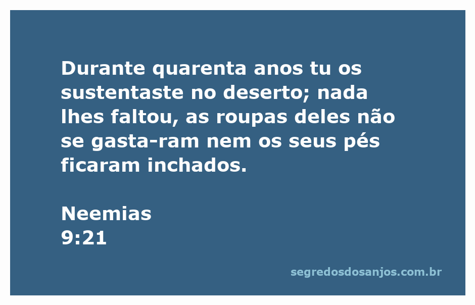 Imagem representativa da jornada de 40 anos dos israelitas no deserto, destacando sustento divino e proteção.