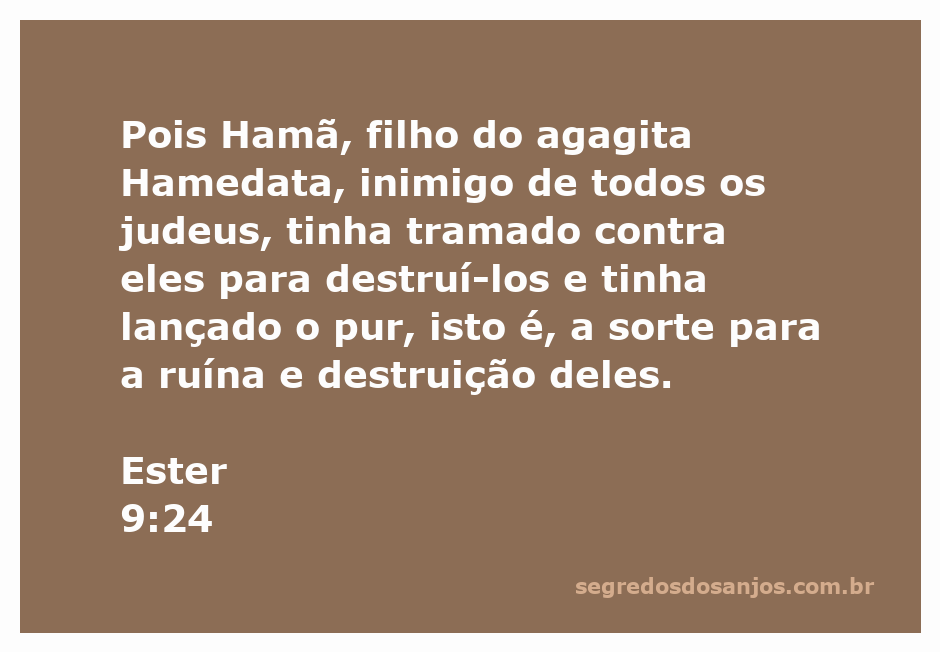 A imagem retrata a passagem de Ester 9:24, que menciona Hamã, o inimigo dos judeus, e sua trama para destruí-los.