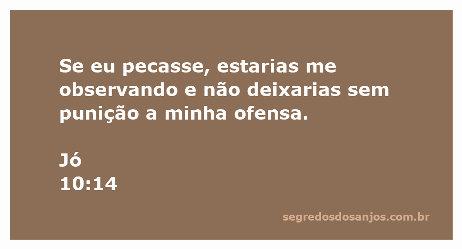 Retrato ilustrativo de Jó expressando sua angústia e reflexão sobre a justiça divina.