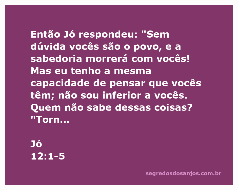 Jó dialogando sobre sabedoria e sofrimento com seus amigos, refletindo sobre sua integridade e a percepção da dor.