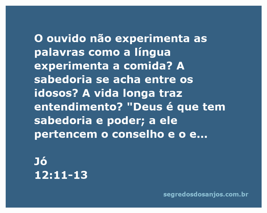 Imagem ilustrativa representando a sabedoria e o entendimento conforme descrito em Jó 12:11-13.
