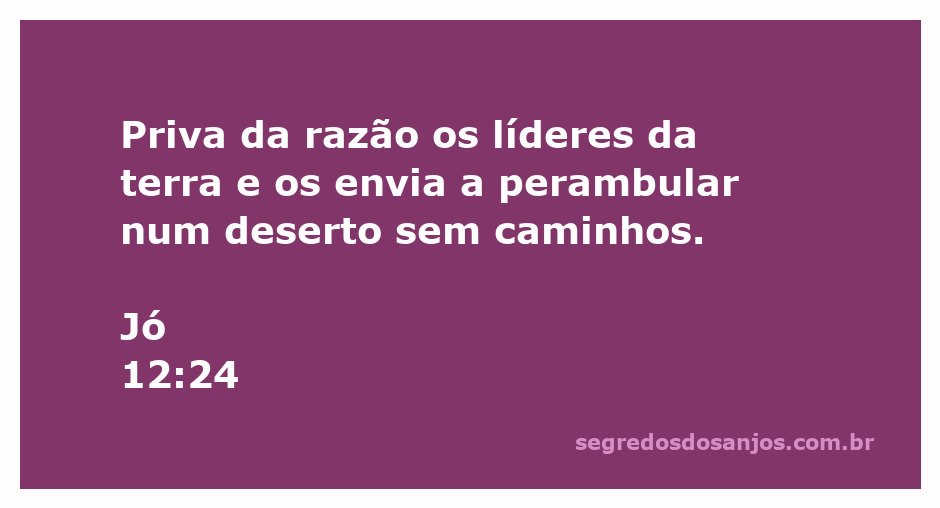 Imagem que representa a passagem de Jó 12:24, mostrando líderes perdidos em um deserto sem caminhos.