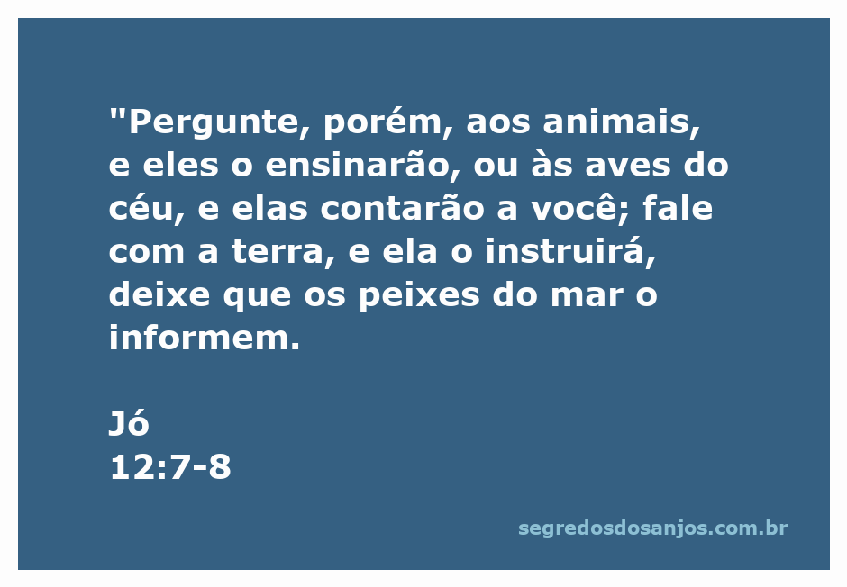 Imagem de um homem interagindo com animais e a natureza, simbolizando a sabedoria que pode ser encontrada na criação.